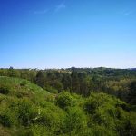 Arhiepiscopia Sucevei si Radautilor pune la vanzare lemn din padurile proprii