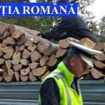 Barbat din Frumosu surprins cu 3801 mc de lemn de foc fara documente amendat sever de politistii de la Vama