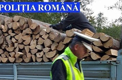 Barbat din Frumosu surprins cu 3801 mc de lemn de foc fara documente amendat sever de politistii de la Vama