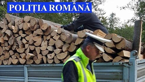 Barbat din Frumosu surprins cu 3801 mc de lemn de foc fara documente amendat sever de politistii de la Vama