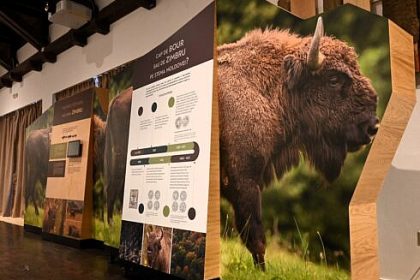 Centrul de Vizitare din Parcul Natural Vanatori Neamt isi imbunatateste expozitia interactiva FOTO