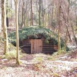 Ghetarie pentru conservarea puieilor forestieri realizata de silvicultorii din Rasca exemplu de bune practici la nivel national foto