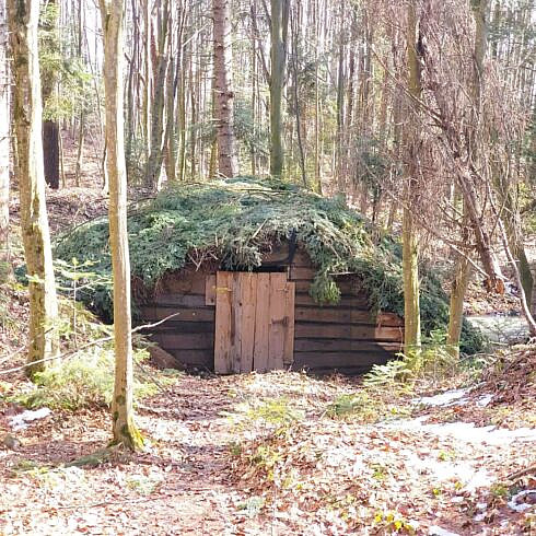 Ghetarie pentru conservarea puieilor forestieri realizata de silvicultorii din Rasca exemplu de bune practici la nivel national foto
