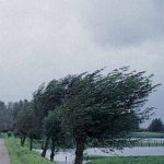 avertizare meteo de vant intens ploi si ninsori la munte valabila in judetul suceava pana luni dimineata
