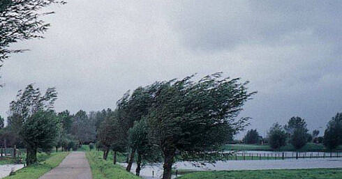avertizare meteo de vant intens ploi si ninsori la munte valabila in judetul suceava pana luni dimineata