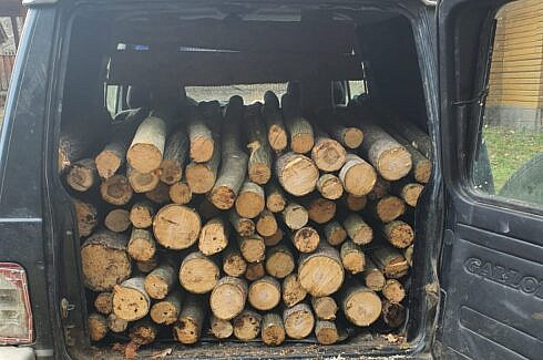 1 48 mc de lemn de foc fara acte confiscat de un barbat din Sucevita