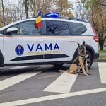 3 100 000 lei valoarea bunurilor gasite de inspectorii vamali intr un autocamion