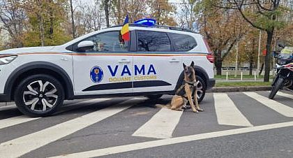 3 100 000 lei valoarea bunurilor gasite de inspectorii vamali intr un autocamion