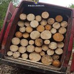 A fost oprit pentru viteza excesiva si s a descoperit ca transporta lemne furate