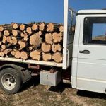 Amenda de 5000 de lei si lemne de foc confiscate fara acte in valoare de 856 de lei de la un barbat din Horodnic de Sus