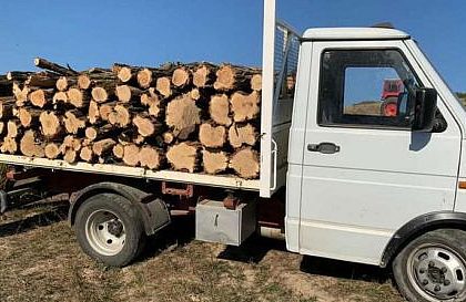 Amenda de 5000 de lei si lemne de foc confiscate fara acte in valoare de 856 de lei de la un barbat din Horodnic de Sus