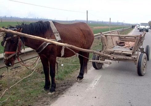 Barbat beat ranit dupa ce a cazut dintr o caruta pe DN 17B in comuna Crucea