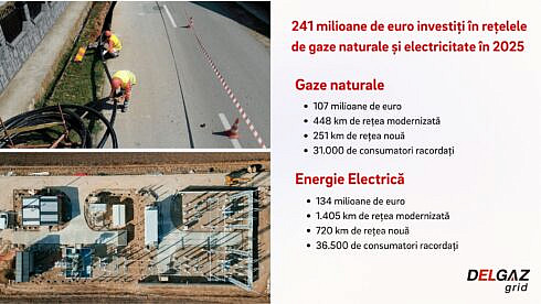 Delgaz Grid a investit 241 milioane de euro in retelele de gaze naturale si electricitate anul trecut