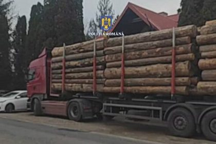 Doua transporturi ilegale de lemn depistate consecutiv la o intersectie Fiecare sofer a fost sanctionat cu o amenda de 20000 de lei iar lemnul a fost confiscat