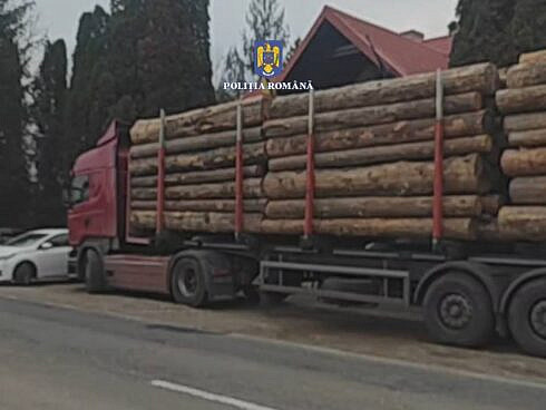 Doua transporturi ilegale de lemn depistate consecutiv la o intersectie Fiecare sofer a fost sanctionat cu o amenda de 20000 de lei iar lemnul a fost confiscat