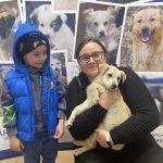 Opt catei au fost adoptati la Targul de Adoptie organizat de Adapostul Public din Suceava FOTO