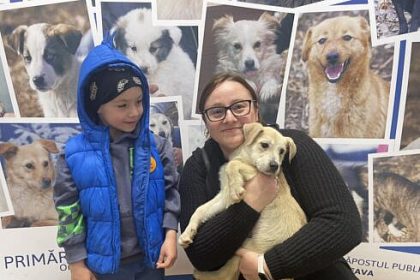 Opt catei au fost adoptati la Targul de Adoptie organizat de Adapostul Public din Suceava FOTO