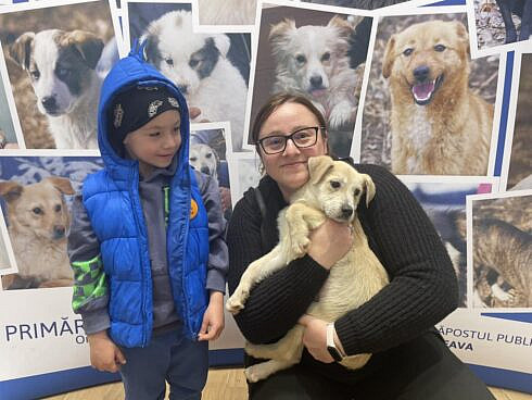 Opt catei au fost adoptati la Targul de Adoptie organizat de Adapostul Public din Suceava FOTO