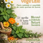 Plantele tamaduitoare O explorare fascinanta in universul plantelor medicinale si comestibile din Bucovina