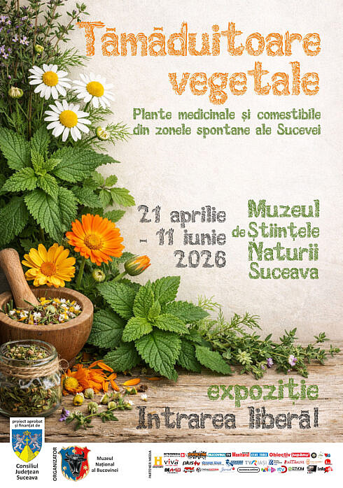 Plantele tamaduitoare O explorare fascinanta in universul plantelor medicinale si comestibile din Bucovina
