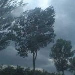Trei coduri galbene de vant puternic si ninsori valabile in judetul Suceava pana miercuri seara