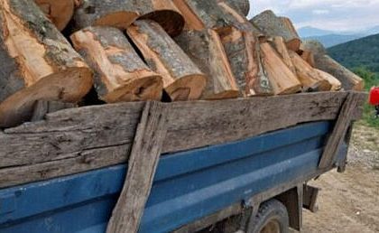 Un barbat din Horodnic de Sus a fost amendat cu 4000 de lei pentru ca a fost prins cu lemn de foc in valoare de 326 de lei fara acte