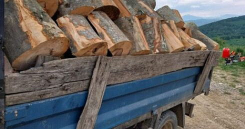 Un barbat din Horodnic de Sus a fost amendat cu 4000 de lei pentru ca a fost prins cu lemn de foc in valoare de 326 de lei fara acte