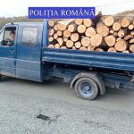 exigenta maxima pentru politistii din vama au prins un hot care transporta 1152 mc de lemn de foc furat din padure