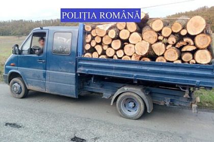 exigenta maxima pentru politistii din vama au prins un hot care transporta 1152 mc de lemn de foc furat din padure