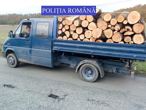 exigenta maxima pentru politistii din vama au prins un hot care transporta 1152 mc de lemn de foc furat din padure