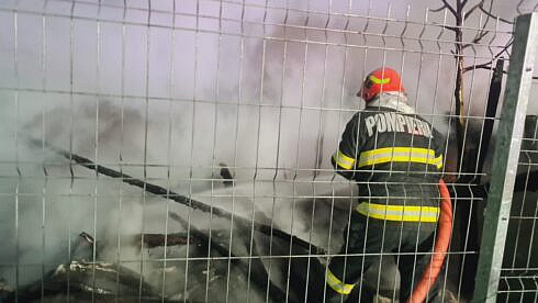 surpriza neplacuta din partea nepoatei de 8 ani venite in vizita la unchiul ei din vicovu de sus i a incendiat casa