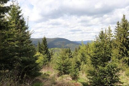 Romania se confrunta cu riscul de a nu avea o strategie de conservare a biodiversitatii in momentele in care are cea mai mare nevoie de acesta