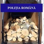 364 mc de lemn de foc fara acte confiscat de la un barbat din Vama acesta a primit o amenda de 4000 de lei