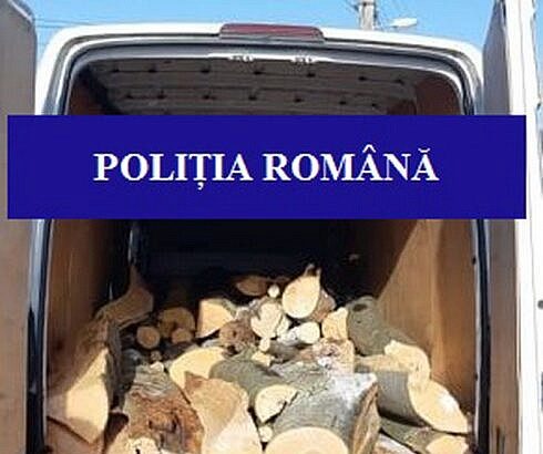 364 mc de lemn de foc fara acte confiscat de la un barbat din Vama acesta a primit o amenda de 4000 de lei