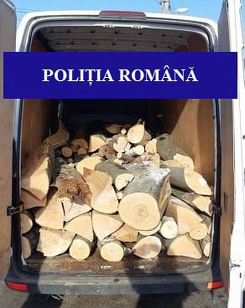 364 mc de lemn de foc fara acte confiscat de la un barbat din Vama acesta a primit o amenda de 4000 de lei