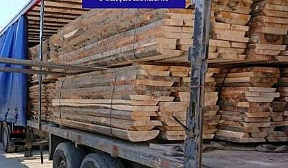 Amendat cu 4000 de lei pentru transportul de material lemnos fara documente