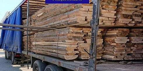 Amendat cu 4000 de lei pentru transportul de material lemnos fara documente