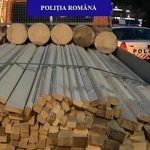 Amenzi de 5000 de lei si lemn confiscat in valoare de 2700 de lei de la o firma din Slatina