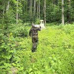 Animalele salbatice din padurile gestionate de Ocolul Silvic Putna tratate cu sare foto