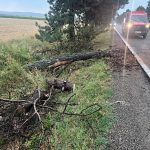Arbori cazuti pe drum si acoperisuri smulse de furtunile care au afectat anumite localitati din judet