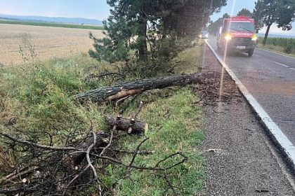 Arbori cazuti pe drum si acoperisuri smulse de furtunile care au afectat anumite localitati din judet