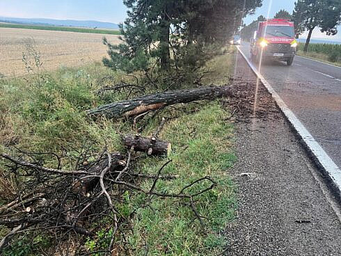 Arbori cazuti pe drum si acoperisuri smulse de furtunile care au afectat anumite localitati din judet
