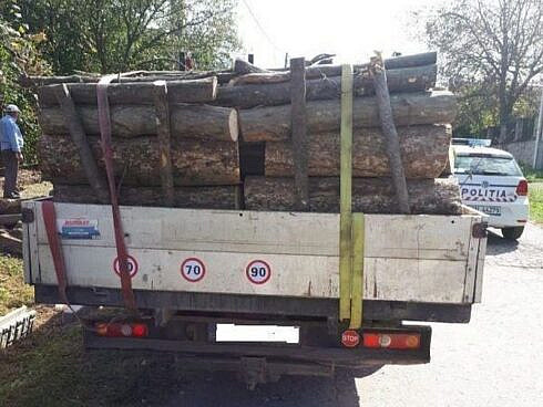 Autoutilara incarcata cu lemn ilegal oprita pe strada Eternitatii din Dumbraveni