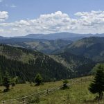 Cati turisti romani a pierdut Suceava in primele luni ale anului 2026 Judetul urmarea tendintele nationale de scadere dar ramane in top 10