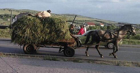 Femeie aruncata din caruta cu fan pe sosea dupa ce sotul a pierdut haturile si calul a pornit la fuga haotic
