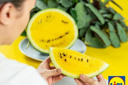 Lidl se concentreaza pe Romania Datorita colaborarilor cu furnizorii locali Lidl ofera 100 pepeni romanesti in magazine si a facilitat pana acum dublarea exporturilor pentru acest produs comparativ cu anul trecut