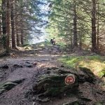 O turista a fost transportata acasa cu ambulanta dupa ce si a fracturat piciorul pe Via Transilvanica la Vatra Moldovitei