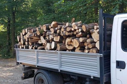 Politistii din Vicovu de Sus au capturat 216 mc de materiale lemnoase fara acte de la un barbat din Straja