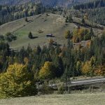 Primaria Vatra Moldovitei solicita proprietarilor de tereni si livezi din zona DN 17A pe traseul serpentinelor Ciumarna pana la Monumentul Palma sa ia masuri pentru indepartarea arborilor care constituie un pericol pentru siguranta circulatiei