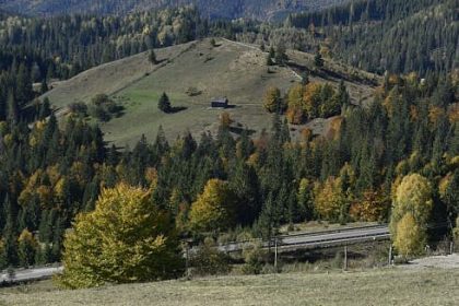 Primaria Vatra Moldovitei solicita proprietarilor de tereni si livezi din zona DN 17A pe traseul serpentinelor Ciumarna pana la Monumentul Palma sa ia masuri pentru indepartarea arborilor care constituie un pericol pentru siguranta circulatiei